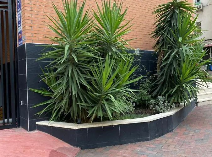Lejlighed Nemis In The Centre Of Four Free Parking